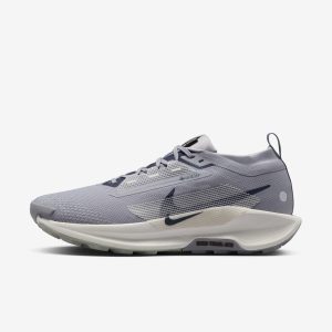 Nike Pegasus Trail 5 GORE-TEX